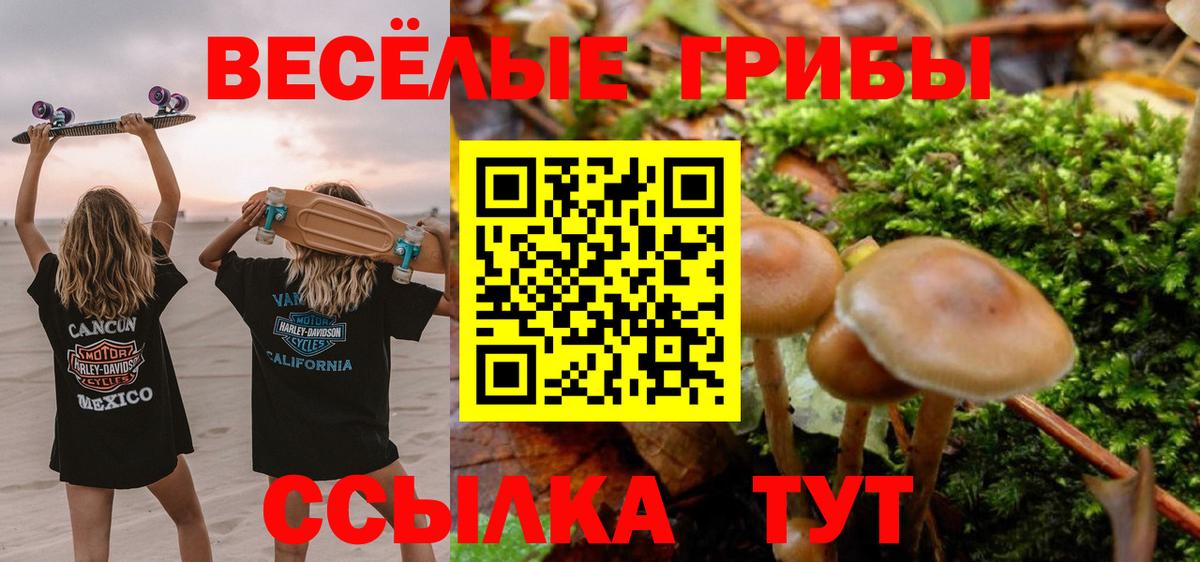 Псилоцибиновые грибы GOLDEN TEACHER Красноуфимск